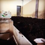 lettiera al coperto vermicompost lombrichi