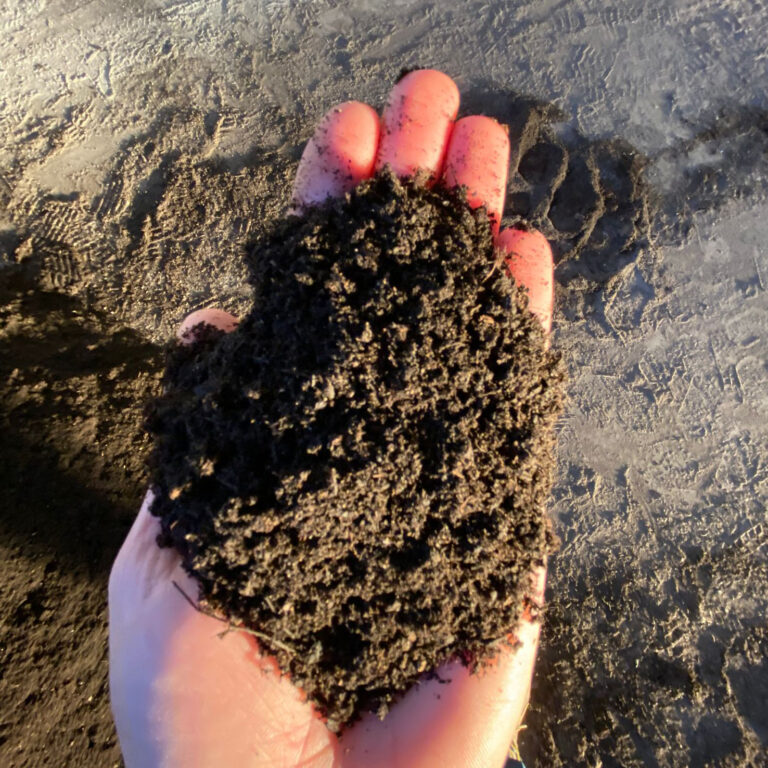 Vermicompost o humus da lombrico