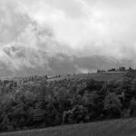 Colline Chianti