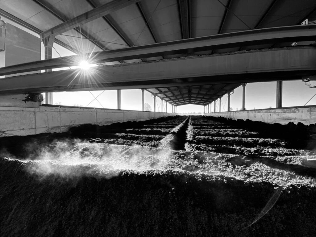 Vasca compostaggio vermicompost e humus di lombrico