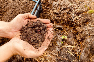 Scopri di più sull'articolo Il mercato del Vermicompost